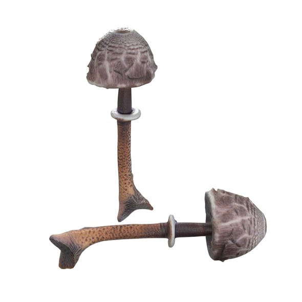 Mushroom 17 - 3DOcean Item for Sale