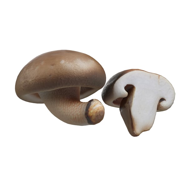 Mushroom 19 - 3DOcean Item for Sale