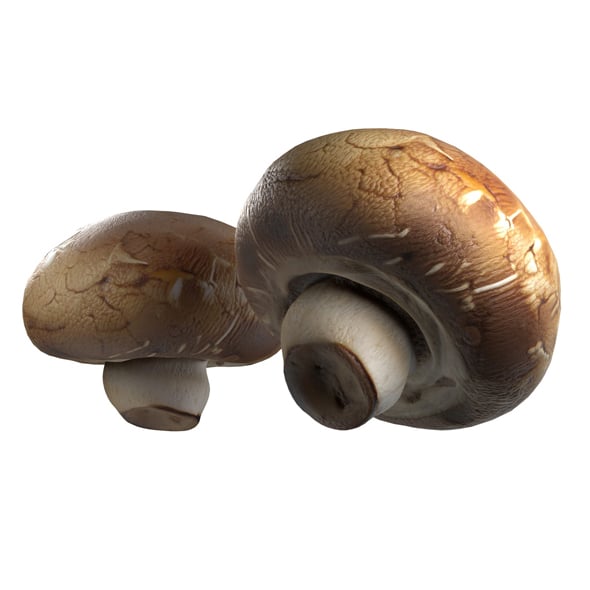 Mushroom 20 - 3DOcean Item for Sale
