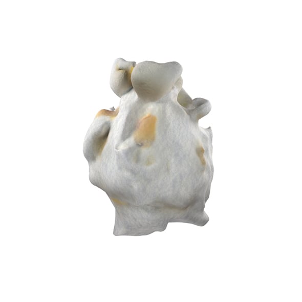 Popcorn 2 - 3DOcean Item for Sale