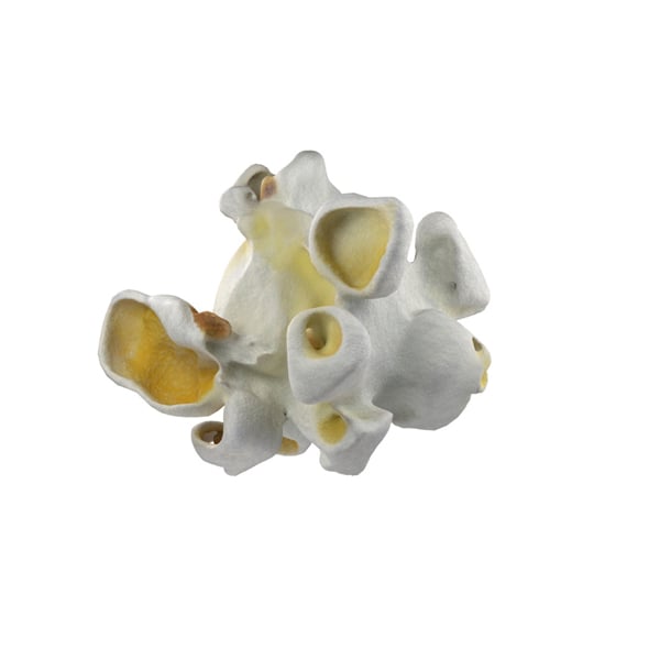 Popcorn 3 - 3DOcean Item for Sale