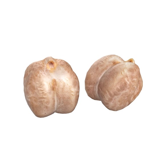 Garbanzo Beans - 3DOcean Item for Sale