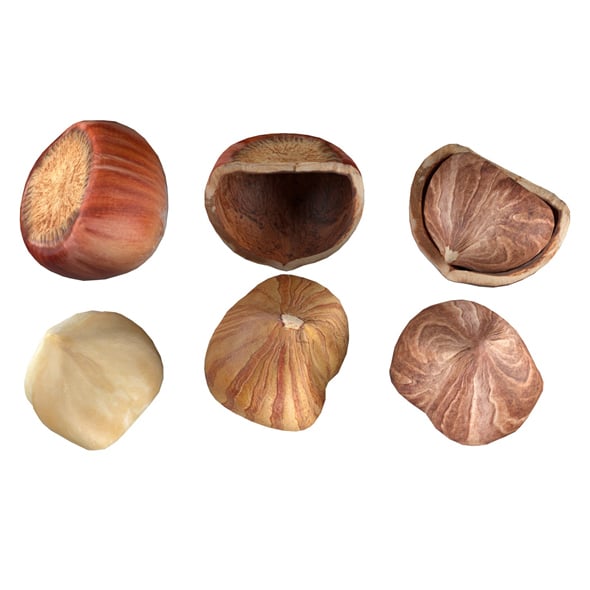Hazelnut Collection - 3DOcean Item for Sale