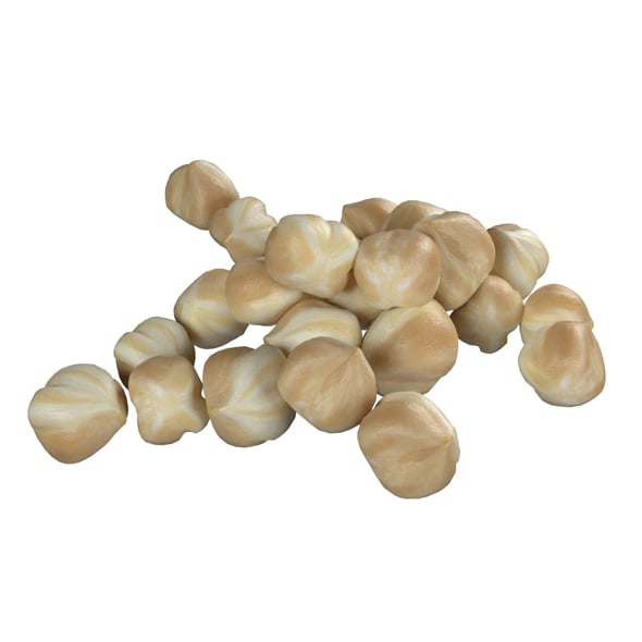 Hazelnut White Pile - 3DOcean Item for Sale
