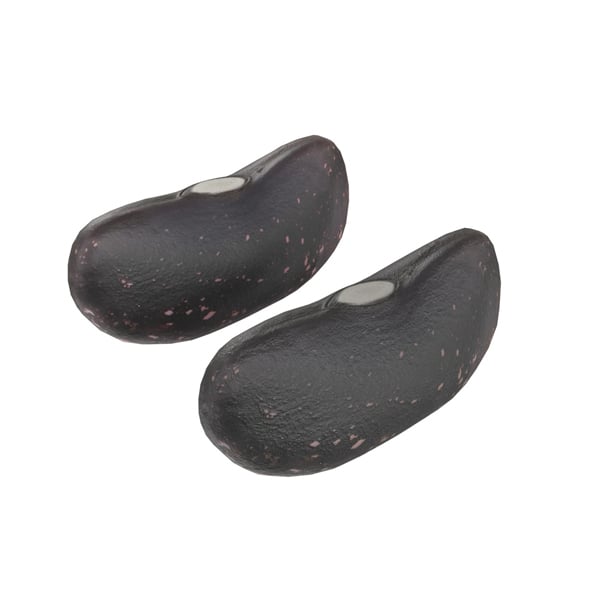 Black Dry Kidney Beans - 3DOcean Item for Sale