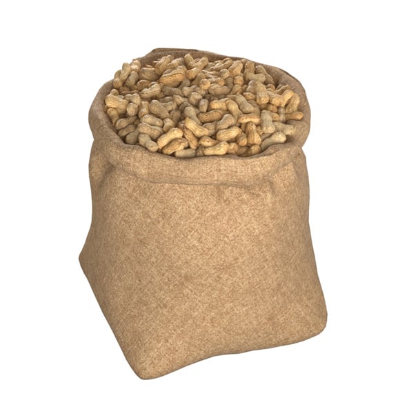 Peanut Bag Sack - 3DOcean Item for Sale