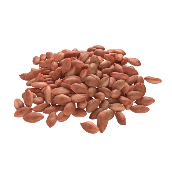 Peanut Kernel Brown Pile - 3DOcean Item for Sale