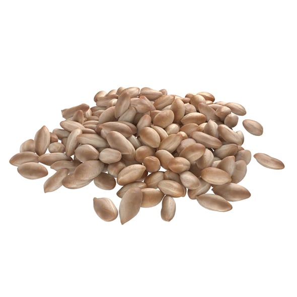 Peanut Kernel White Pile - 3DOcean Item for Sale