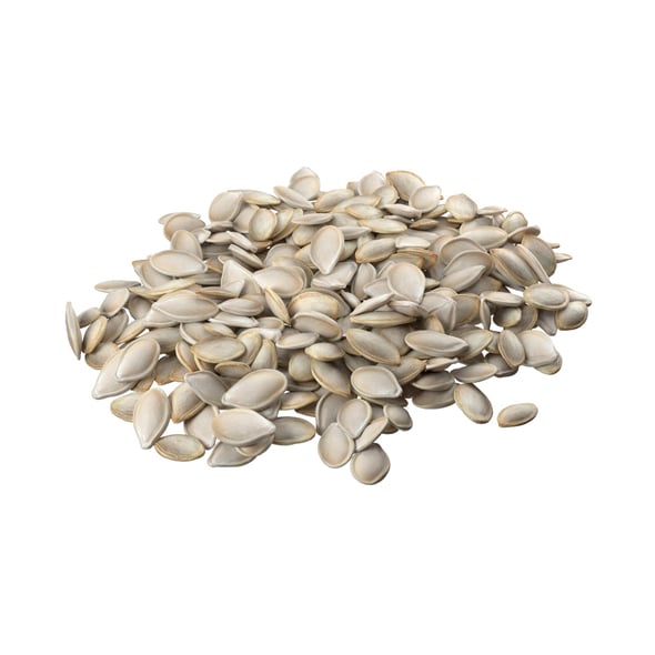 Pumpkin Seed Pile - 3DOcean Item for Sale
