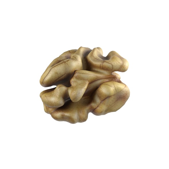 Walnut Kernel v1 - 3DOcean Item for Sale