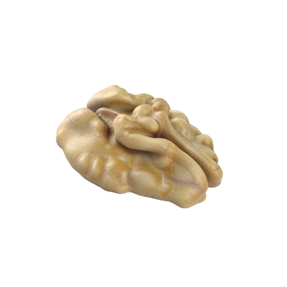 Walnut Kernel v2 - 3DOcean Item for Sale