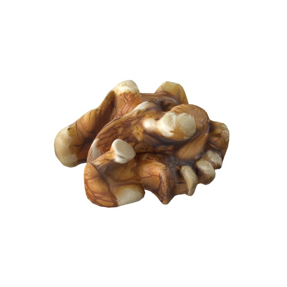 Walnut Kernel v4 - 3DOcean Item for Sale
