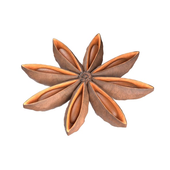 Star Anise - 3DOcean Item for Sale