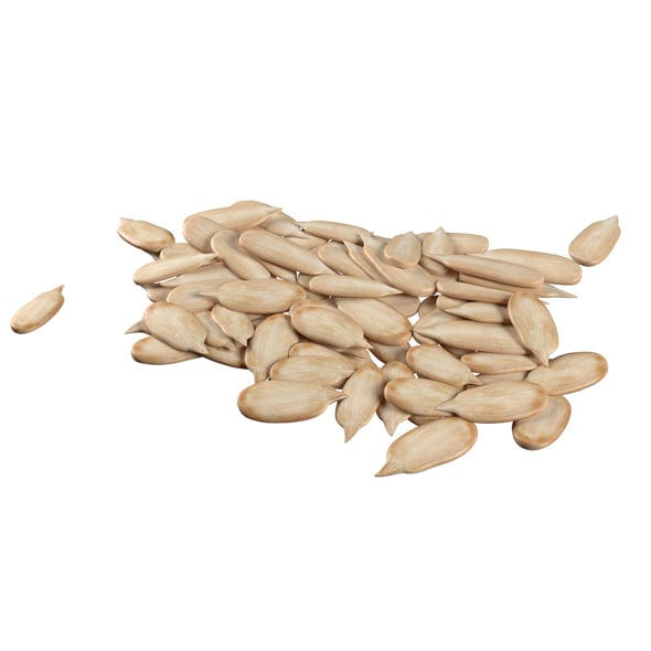 Sunflower Seed Pile v1 - 3DOcean Item for Sale