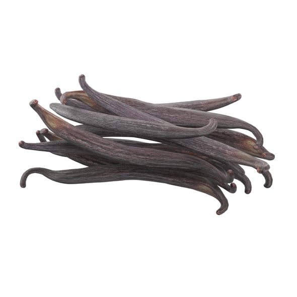 Vanilla Sticks Bunch Pile - 3DOcean Item for Sale