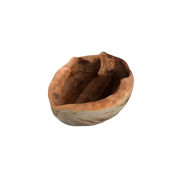 Walnut Shell - 3DOcean Item for Sale