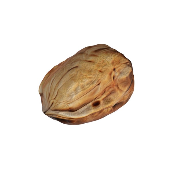 Walnut v2 - 3DOcean Item for Sale