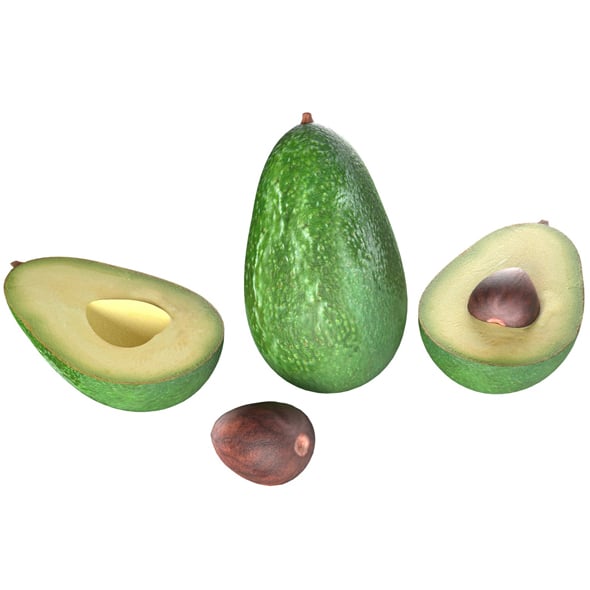 Avocado Fruit Seed - 3DOcean Item for Sale