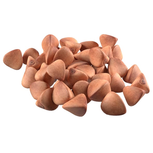 Buckwheat Pile - 3DOcean Item for Sale