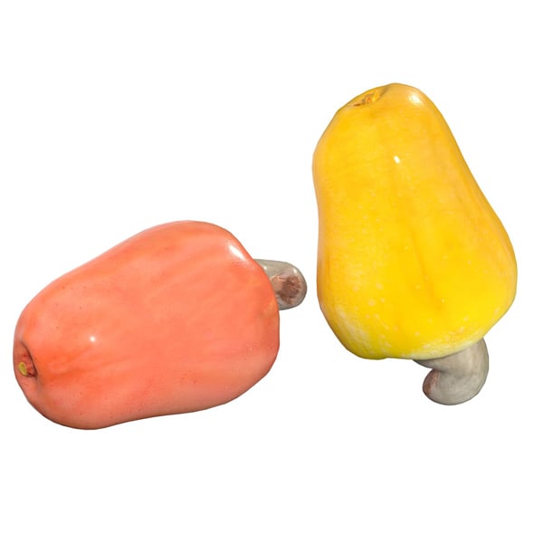 Cashew Fruit - 3DOcean Item for Sale