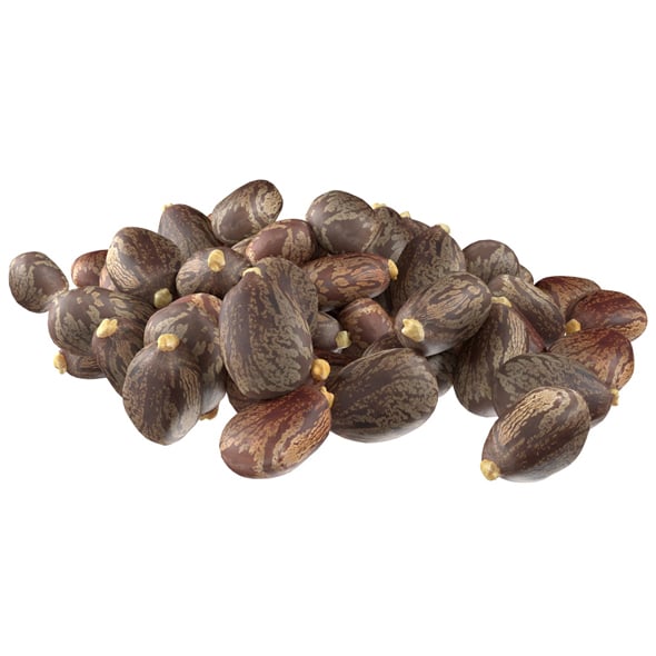 Caster Seed Pile - 3DOcean Item for Sale