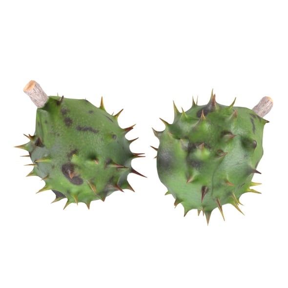 Chestnut Green - 3DOcean Item for Sale