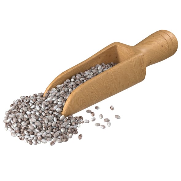 Chia Seed Scoop - 3DOcean Item for Sale