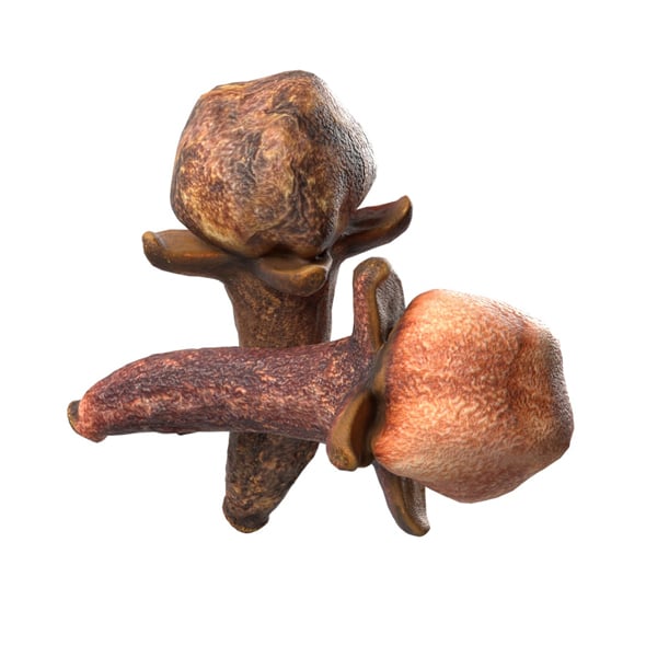 Cloves - 3DOcean Item for Sale