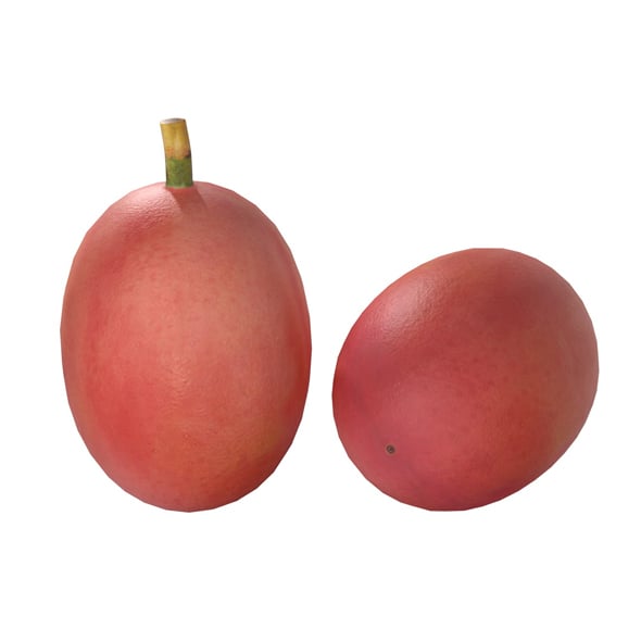 Coffee Bean Red Raw - 3DOcean Item for Sale