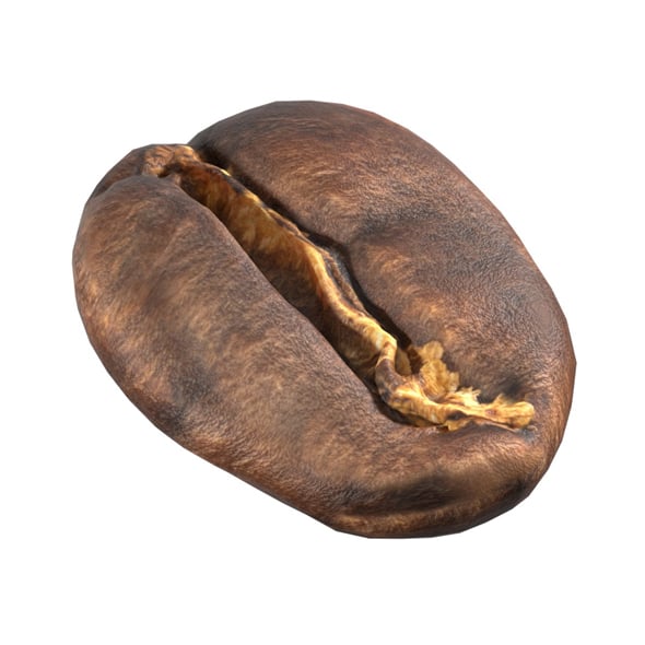 Coffee Bean v1 - 3DOcean Item for Sale