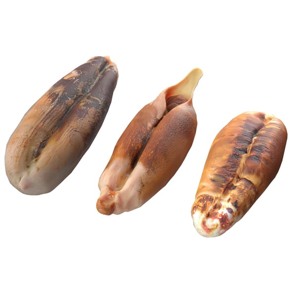 Date Seeds - 3DOcean Item for Sale
