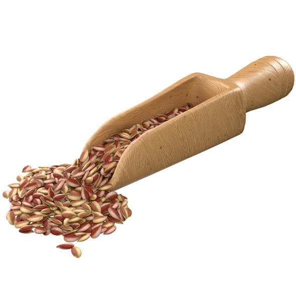 Flax Seed Scoop - 3DOcean Item for Sale