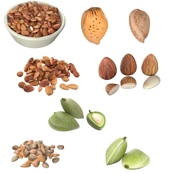 Almonds Collection - 3DOcean Item for Sale