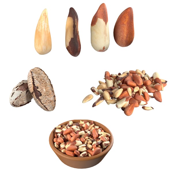 Brazilian Nuts Collection - 3DOcean Item for Sale