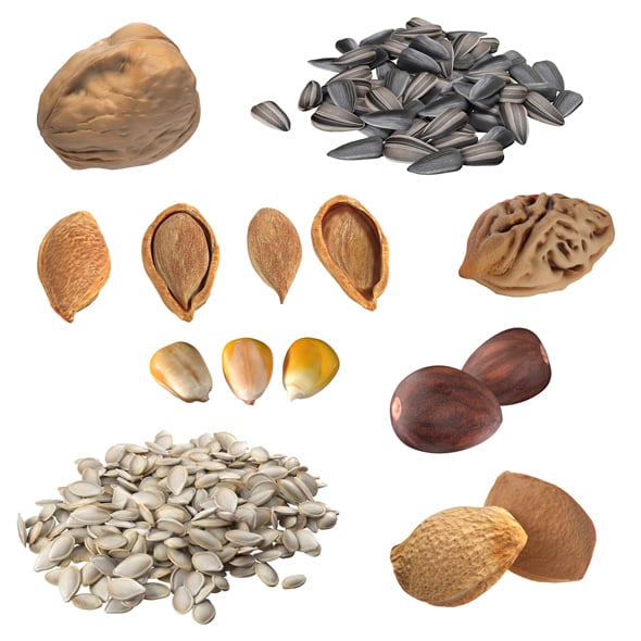 Seed Collection v2 - 3DOcean Item for Sale