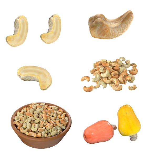 Cashew Fruit Set - 3DOcean Item for Sale