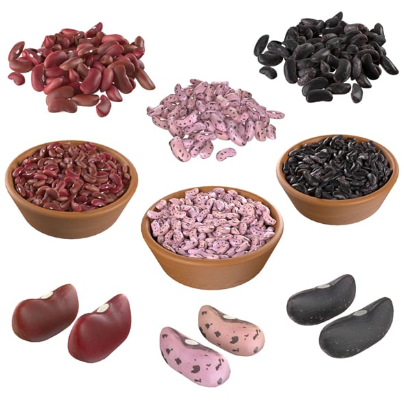 Kidney Bean Collection - 3DOcean Item for Sale