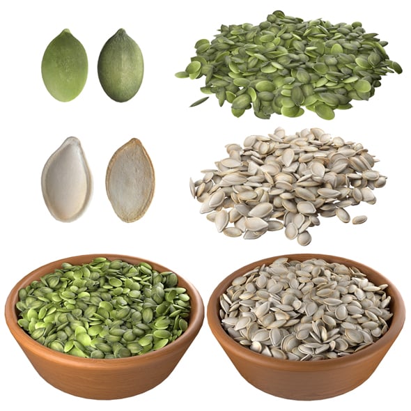 Pumpkin Seed Collection - 3DOcean Item for Sale
