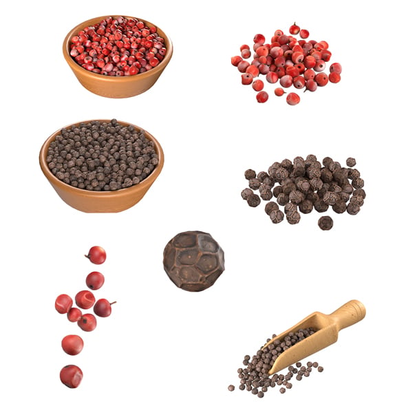 Dried Peppercorn Collection - 3DOcean Item for Sale