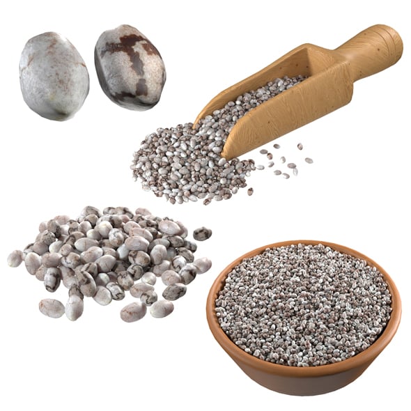Chia Seed Collection - 3DOcean Item for Sale
