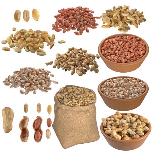 Peanut Mega Collection - 3DOcean Item for Sale