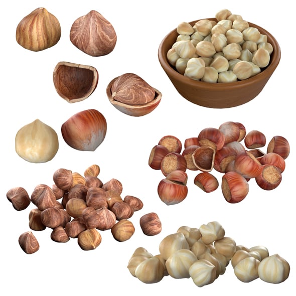 Hazelnut Mega Collection - 3DOcean Item for Sale