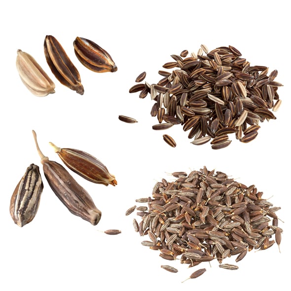 Cumin and Caray Set - 3DOcean Item for Sale