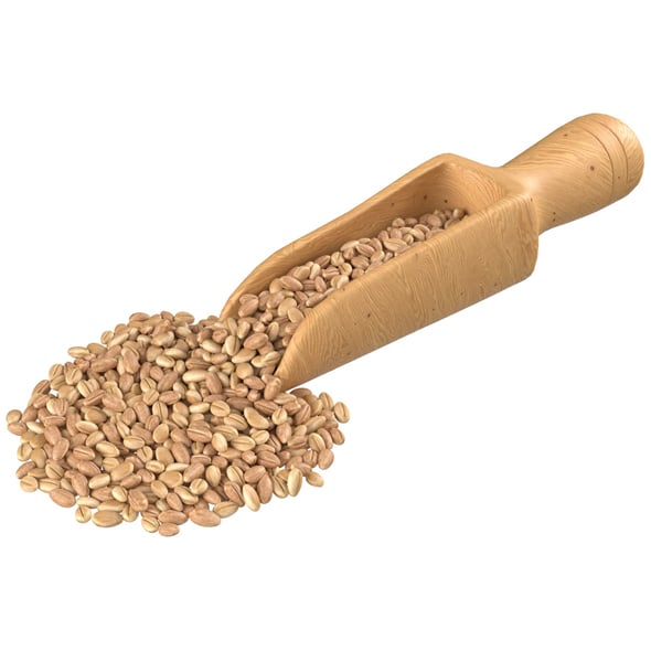 Wheat Scoop - 3DOcean Item for Sale