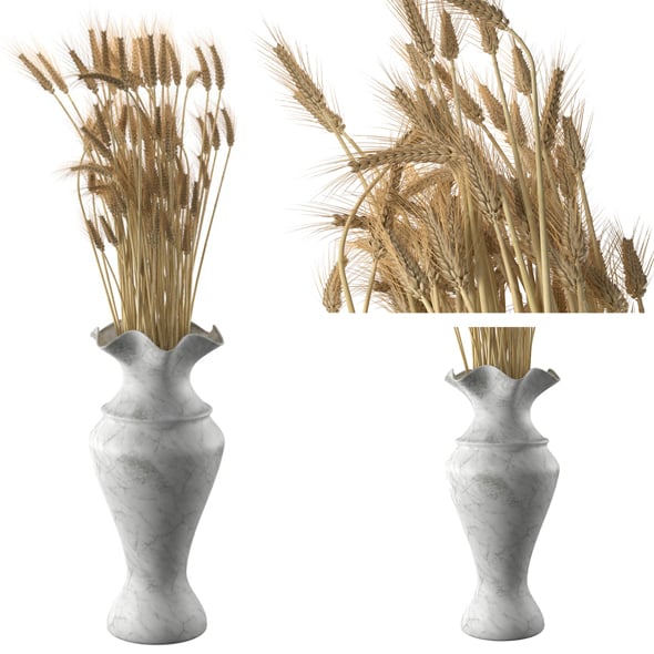 Wheat Dried Filed Section - 3DOcean Item for Sale