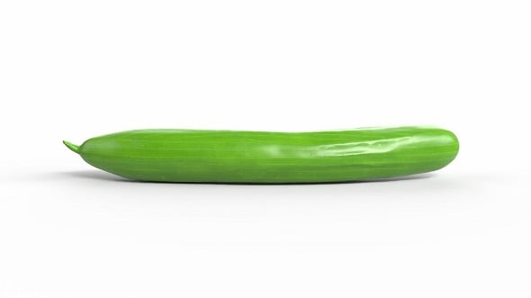 Realistic Cucumber - 3DOcean Item for Sale
