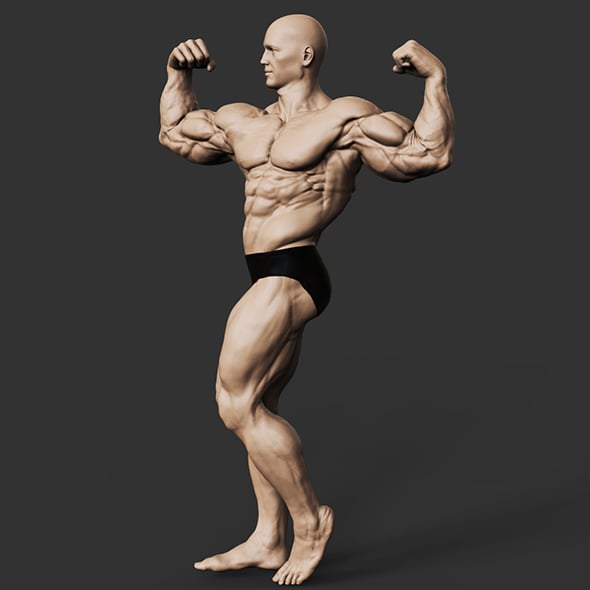Bodybuilder - 3DOcean Item for Sale