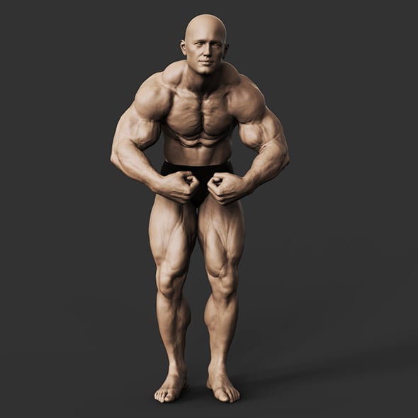 Bodybuilder - 3DOcean Item for Sale