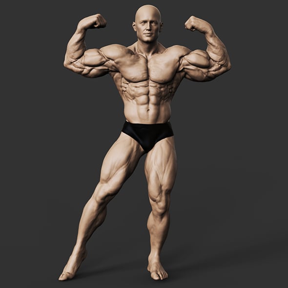 Bodybuilder - 3DOcean Item for Sale