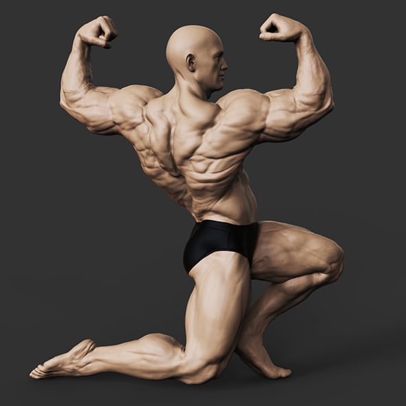 Bodybuilder - 3DOcean Item for Sale